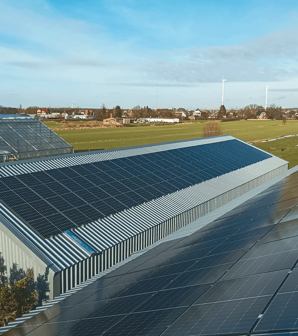 Barthels Hamburg 173 kWp PV Anlage