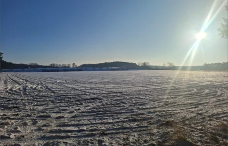 Projektfläche für den Solarpark Bensdorf vor Baubeginn