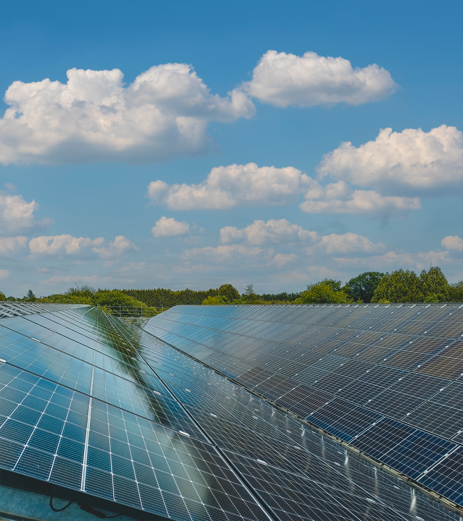 Photovoltaik Wiesmoor 968 kWp Gewächshausanlage Niedersachsen