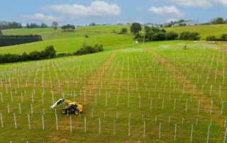 sonnenaufgang pv felder heckhuscheid stimmungsaufnahme