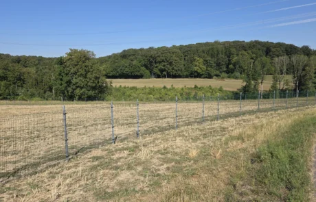 Zaunbau am Feldrand mit gesetzten Zaunpfosten und ersten Gittermatten vor Waldkulisse, PV-Freiflächenanlage Mulfingen I, Hohenlohekreis