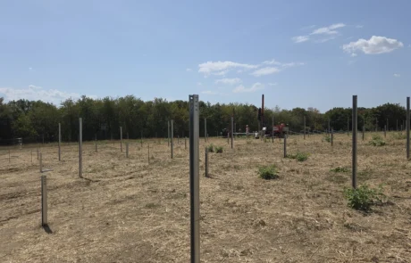 Pfostenfeld mit gerammten Stahlpfosten und Rammgerät vor Waldrand, Baufeld PV-Freiflächenanlage Mulfingen I, Hohenlohekreis