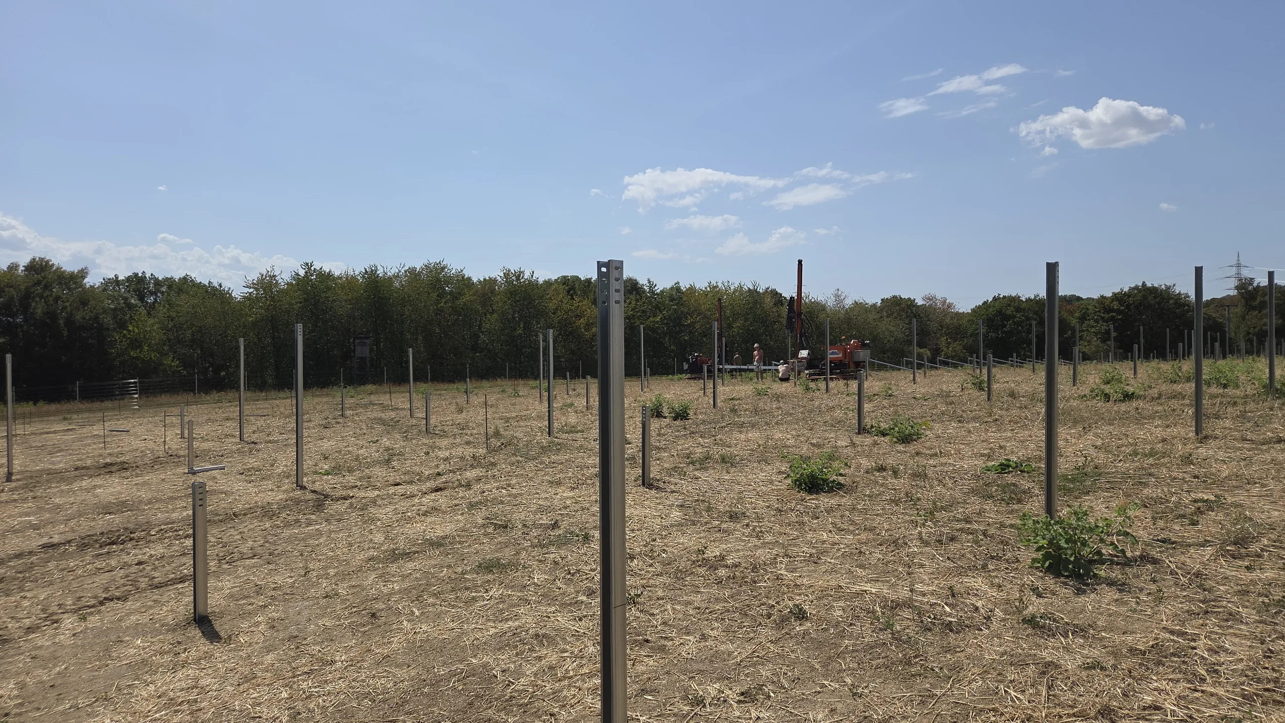 Pfostenfeld Solarpark Mulfingen Pfostenfeld mit gerammten Stahlpfosten und Rammgerät vor Waldrand, Baufeld PV-Freiflächenanlage Mulfingen I, Hohenlohekreis