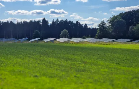 Detailansicht PV-Module Solarpark Üttfeld, sonniger Tag