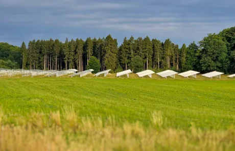 Modulreihen der Photovoltaikanlage Üttfeld in der Eifel