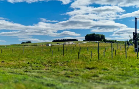 Nahaufnahme der Unterkonstruktion und Befestigungspunkte