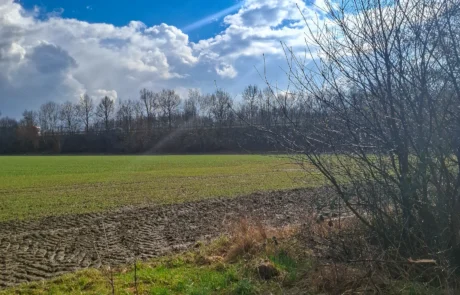 Gesamtansicht der leeren Projektfläche in Porta Westfalica-Vennebeck für eine Freiflächen-PV-Anlage