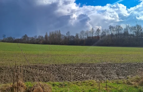Zufahrt zur Projektfläche in Porta Westfalica-Vennebeck, zukünftiger Solarpark Freiflächen-PV