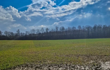 Blick über die leere Projektfläche in Porta Westfalica-Vennebeck, geplanter Solarpark