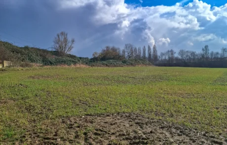 Umfeld und Randbereich der Projektfläche in Porta Westfalica-Vennebeck für Freiflächen-Photovoltaik