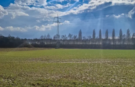 Detailaufnahme der Projektfläche in Porta Westfalica-Vennebeck, Ausgangszustand vor dem Solarparkbau