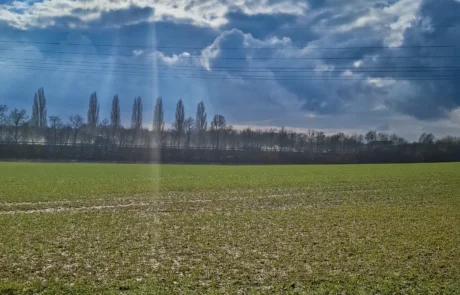 Standortübersicht der PV-Projektfläche Porta Westfalica-Vennebeck vor Baubeginn