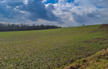 Baustellenzufahrt und Erschließung zur PV-Projektfläche Porta Westfalica-Vennebeck