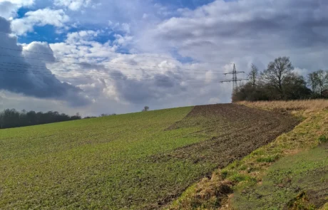Blick über das Gelände der PV-Freifläche Porta Westfalica-Vennebeck