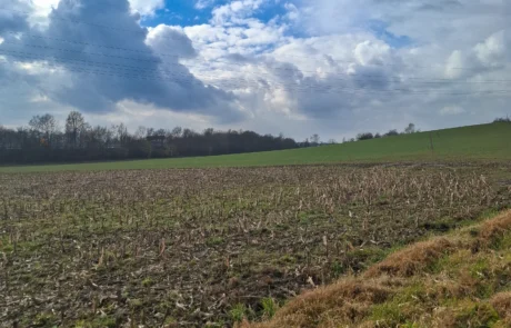 Standortumfeld und Randbereiche der PV-Projektfläche Porta Westfalica-Vennebeck